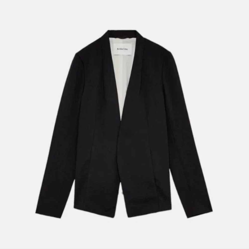 Aritzia Babaton Keith Blazer